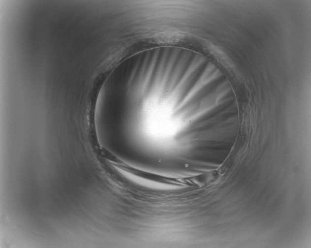 X0000070830501200606301932