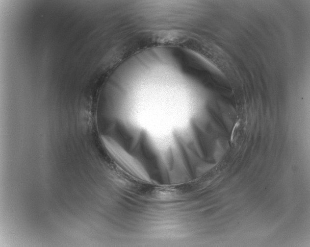 X0000070830510200606301932