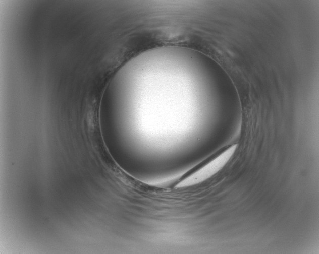 X0000070830515200606301931
