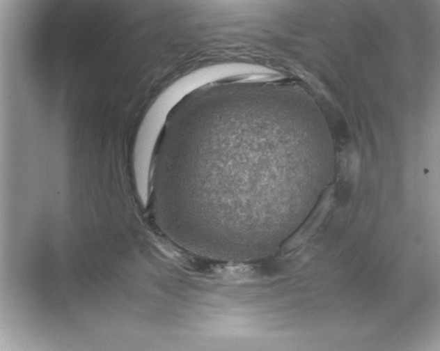 X0000070830517200606301931