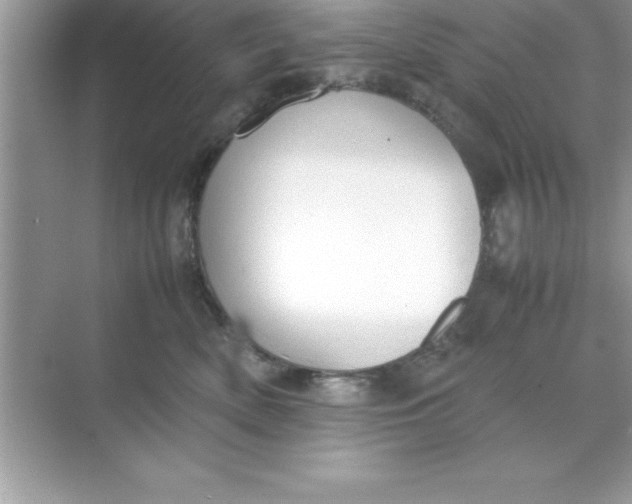X0000070830522200606301931