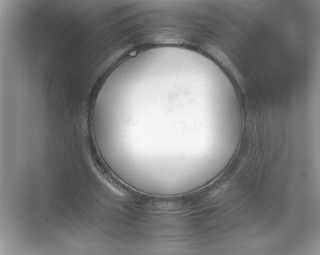 X0000070830533200606301931