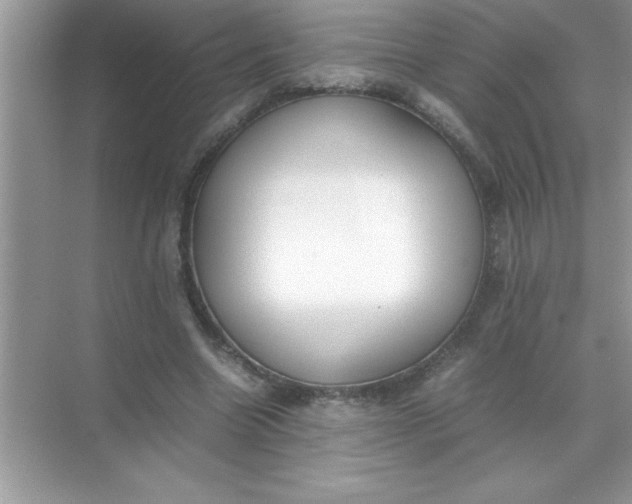 X0000070830538200606301931
