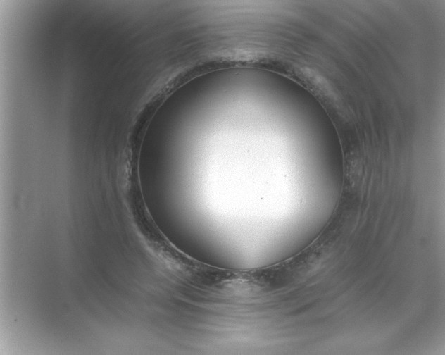 X0000070830544200606301931