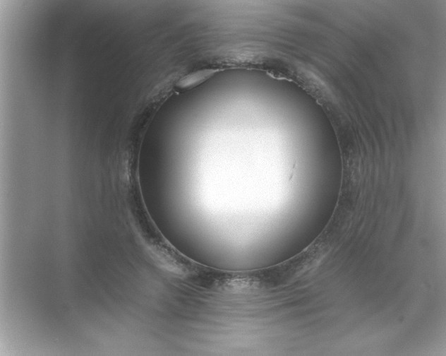 X0000070830546200606301931