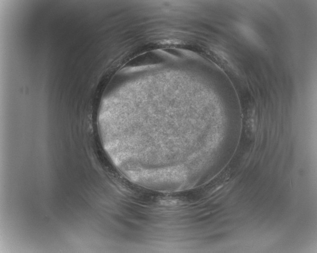 X0000070830547200606301931