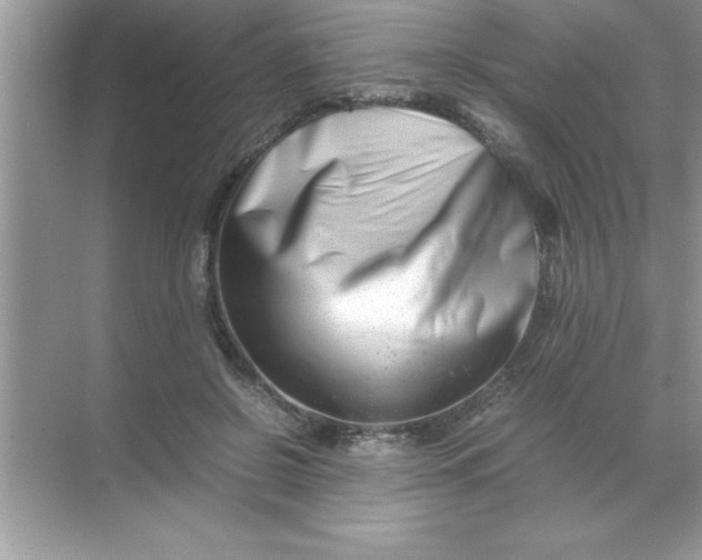 X0000070830550200606301931