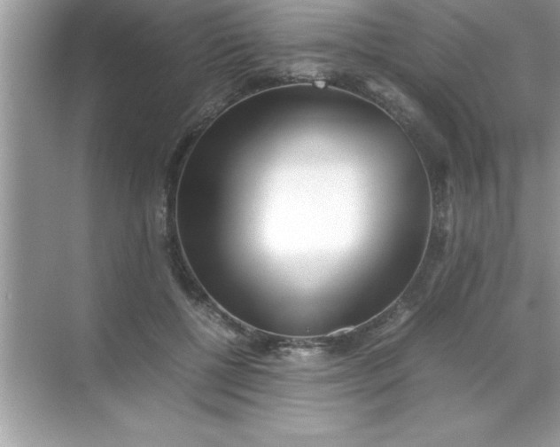 X0000070830552200606301931