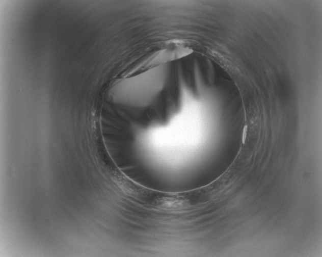 X0000070830555200606301931