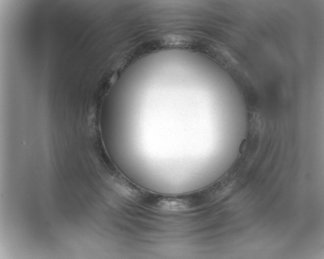 X0000070830557200606301931