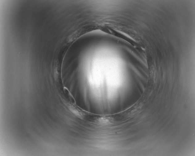 X0000070830566200606301931