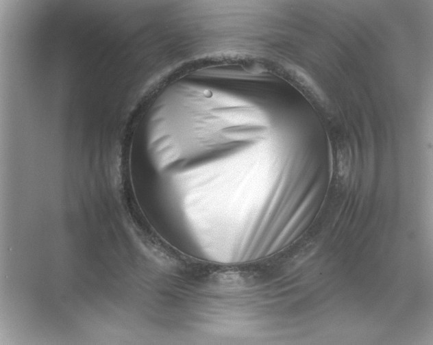 X0000070830588200606301930