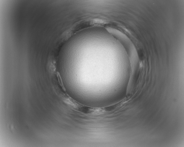 X0000070830621200606301930