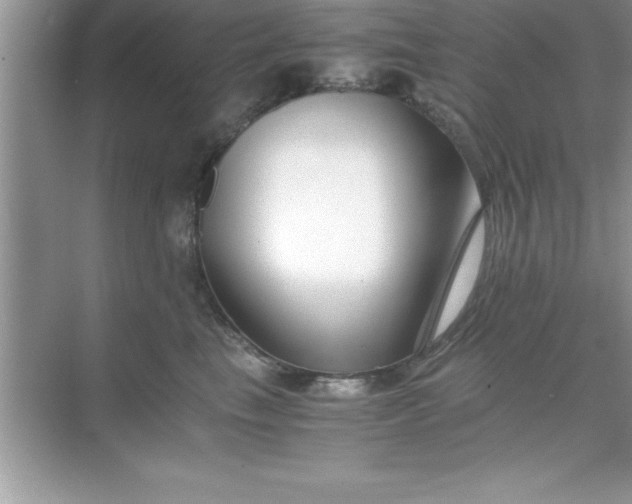 X0000070830665200606301930