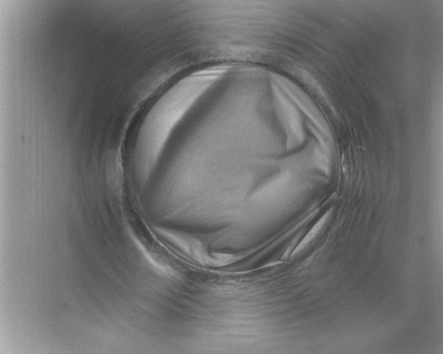 X0000070830674200606301929