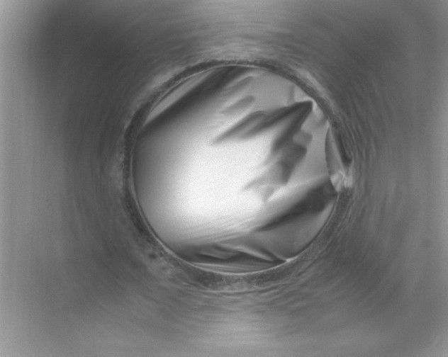 X0000070830675200606301929