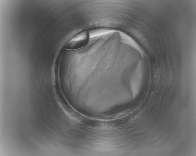 X0000070830678200606301929