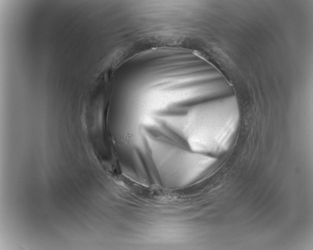 X0000070830693200606301929