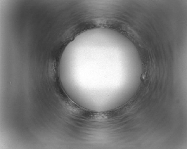 X0000070830702200606301928