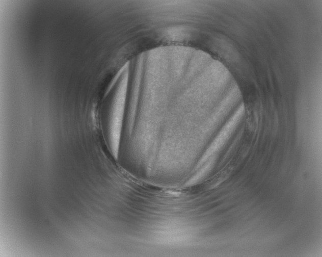 X0000070830718200606301928