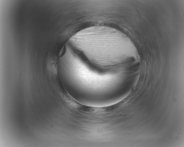 X0000070830719200606301928