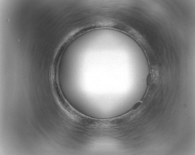 X0000070830726200606301927