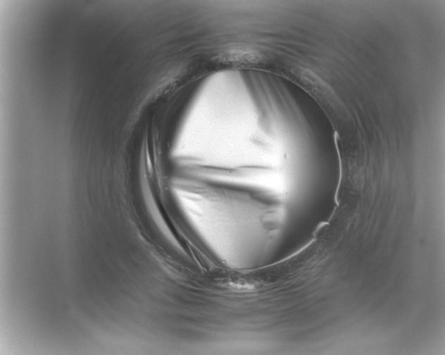 X0000070830735200606301927