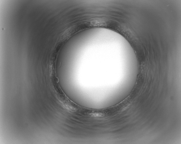 X0000070830741200606301928