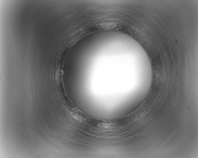 X0000070830745200606301928