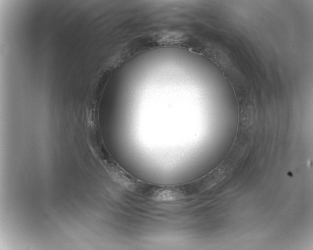 X0000070830755200606301928