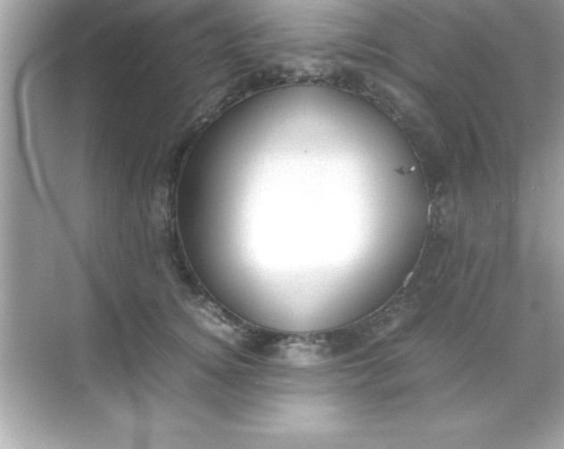X0000070830756200606301928