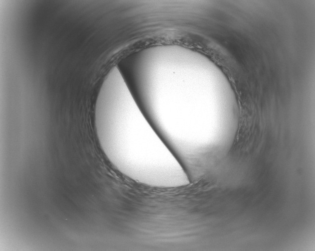 X0000070830773200606301927