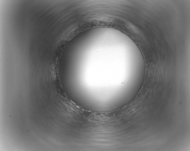 X0000070830774200606301927