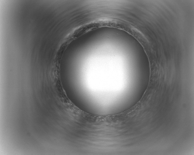 X0000070830776200606301927