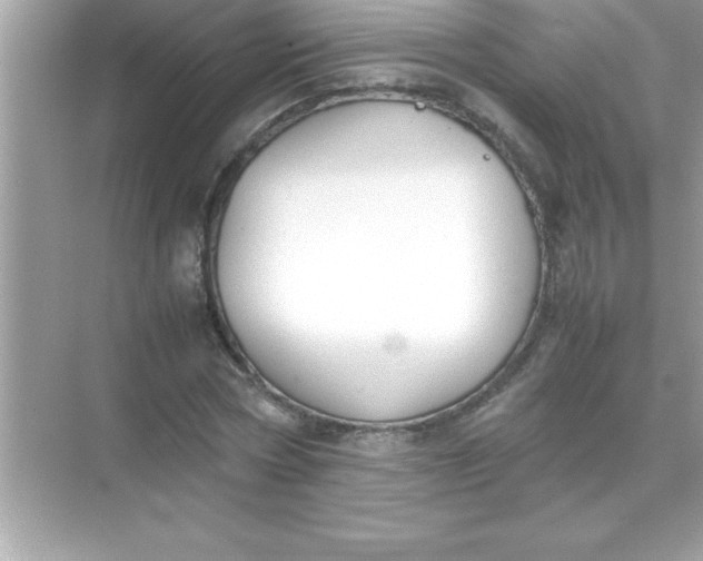 X0000070830778200606301927