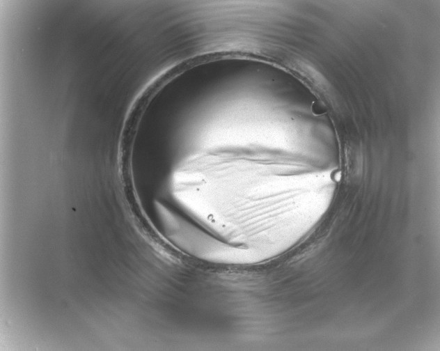 X0000070830780200606301927