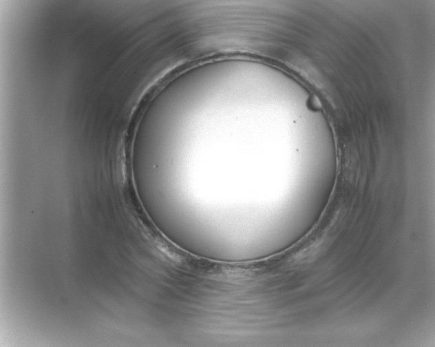 X0000070830782200606301927