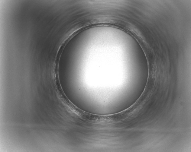 X0000070830786200606301927