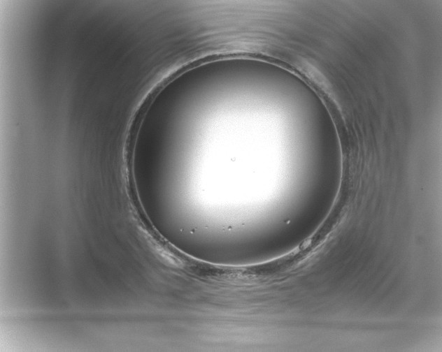 X0000070830789200606301927