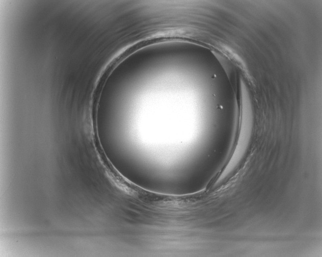 X0000070830792200606301927