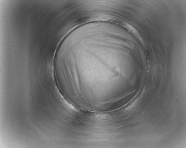 X0000070830802200606301927