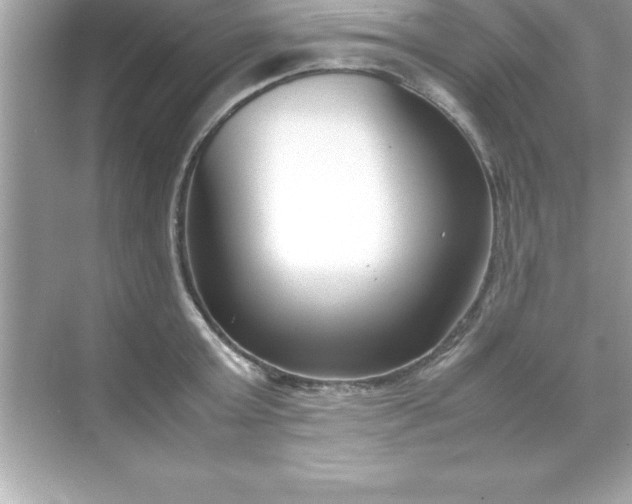 X0000070830803200606301927