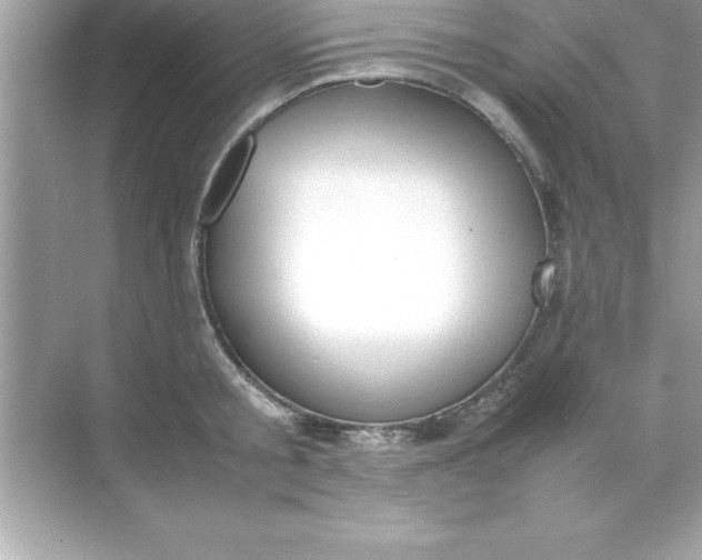 X0000070830805200606301927