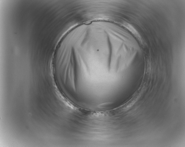 X0000070830806200606301927