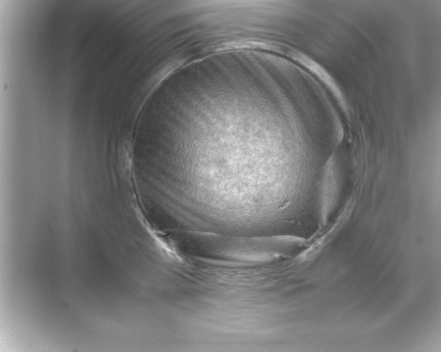 X0000070830809200606301927