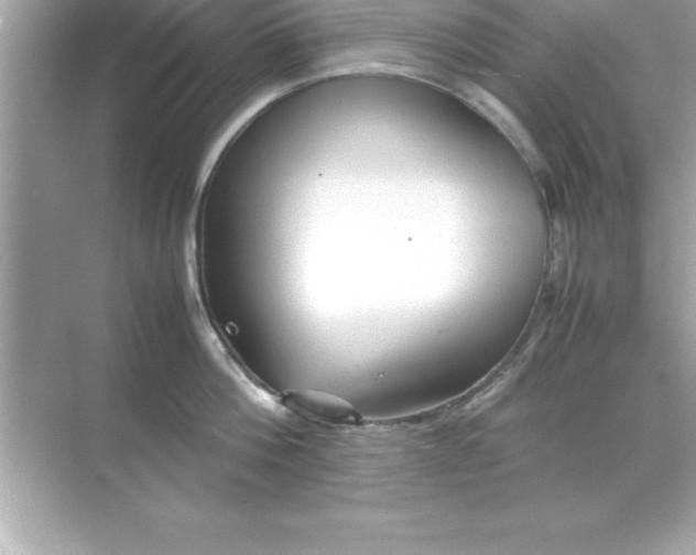 X0000070830812200606301927