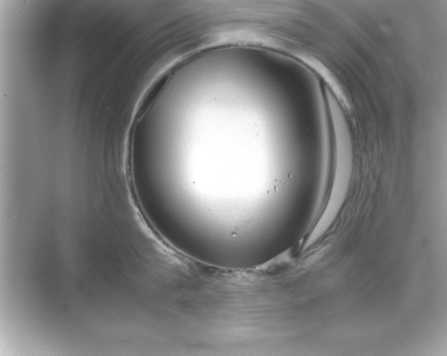 X0000070830815200606301926
