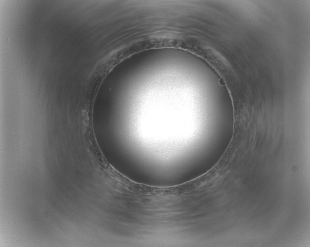 X0000070830821200606301926