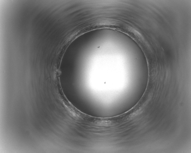 X0000070830833200606301926