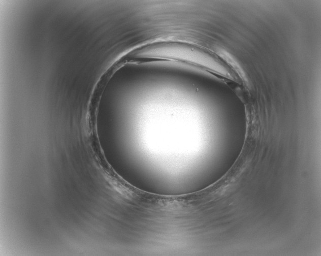 X0000070830876200606301925